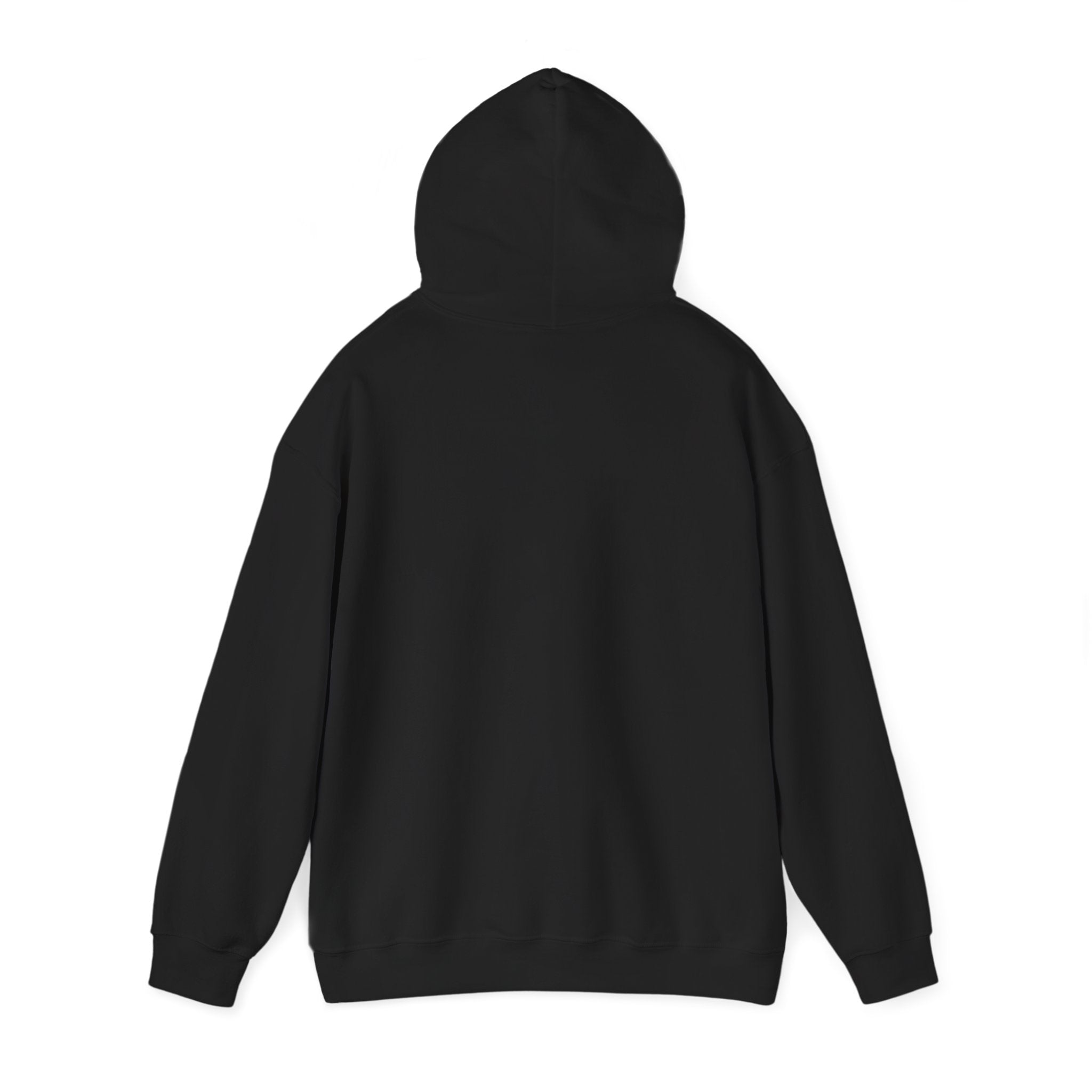 Molon Labe Spartan Hoodie
